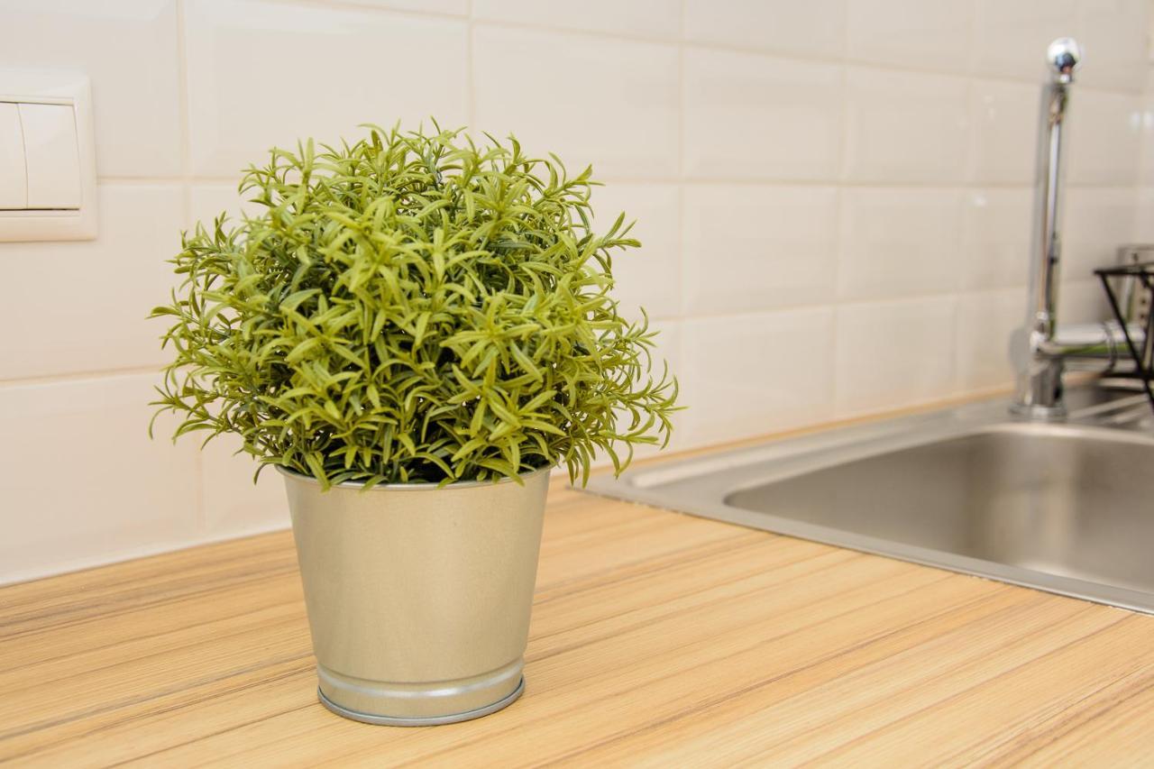 Fully Renovated And Relaxing Apartment Aten Exteriör bild